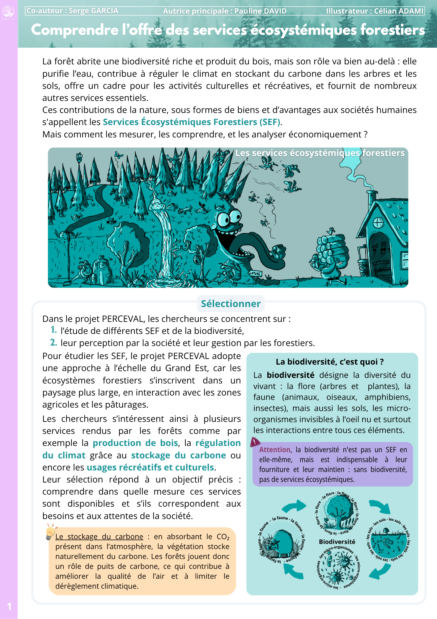 fiche sef page 1 auteurs